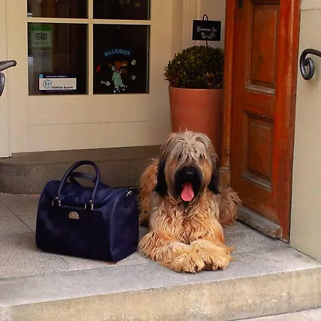 Hotel Boutiquehotel Goldene Rose - Self-check-in 3*